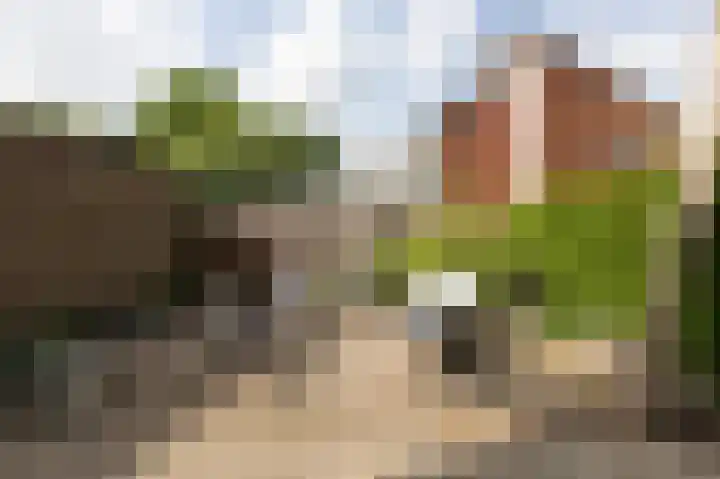 Rembrandtlaan 31 Velp thumbnail 18