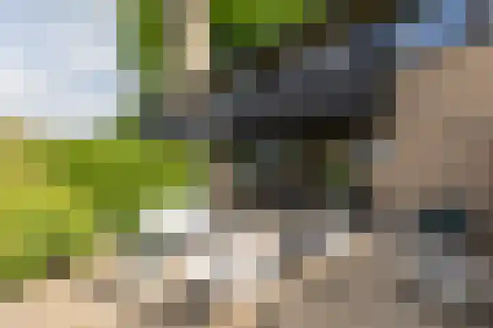 Rembrandtlaan 31 Velp thumbnail 20