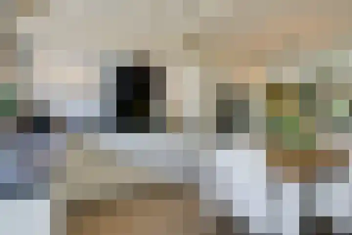 Rembrandtlaan 31 Velp thumbnail 21