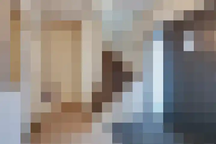 Rembrandtlaan 31 Velp thumbnail 24