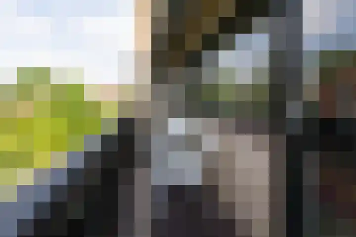 Rembrandtlaan 31 Velp thumbnail 29
