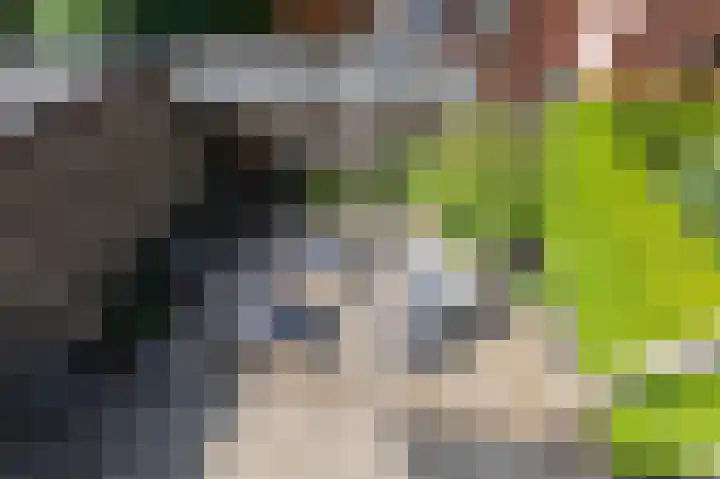 Rembrandtlaan 31 Velp thumbnail 30