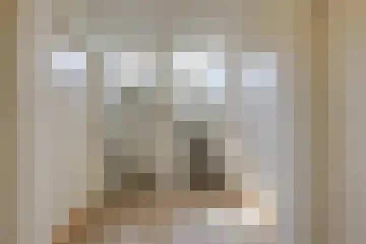 Rembrandtlaan 31 Velp thumbnail 34