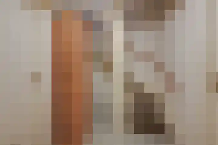 Rembrandtlaan 31 Velp thumbnail 38