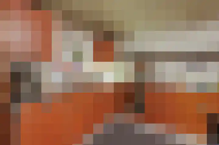 Rembrandtlaan 31 Velp thumbnail 41