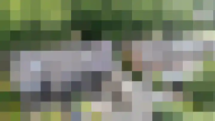Rembrandtlaan 31 Velp thumbnail 43
