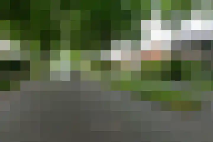 Rembrandtlaan 31 Velp thumbnail 6