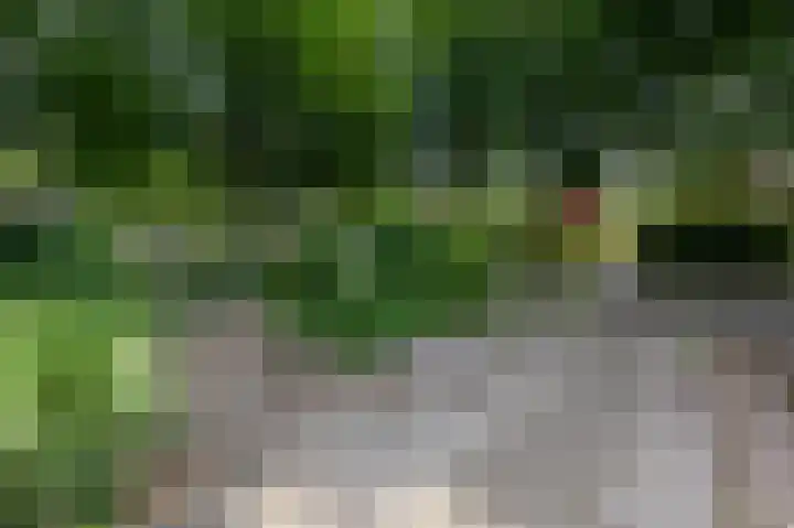 Rembrandtlaan 31 Velp thumbnail 8