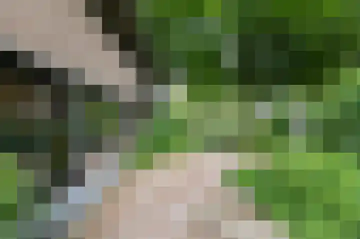 Rembrandtlaan 31 Velp thumbnail 9