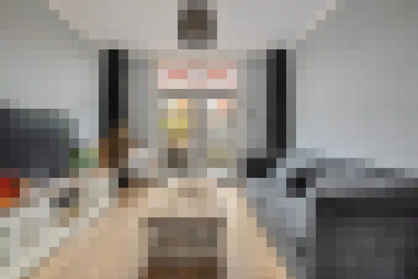 Rembrandtlaan 31 Zwolle thumbnail 10