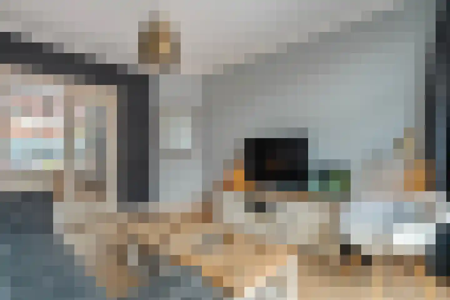 Rembrandtlaan 31 Zwolle thumbnail 11