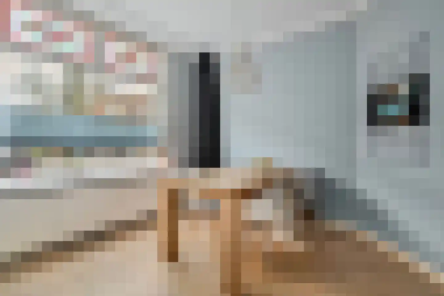 Rembrandtlaan 31 Zwolle thumbnail 14
