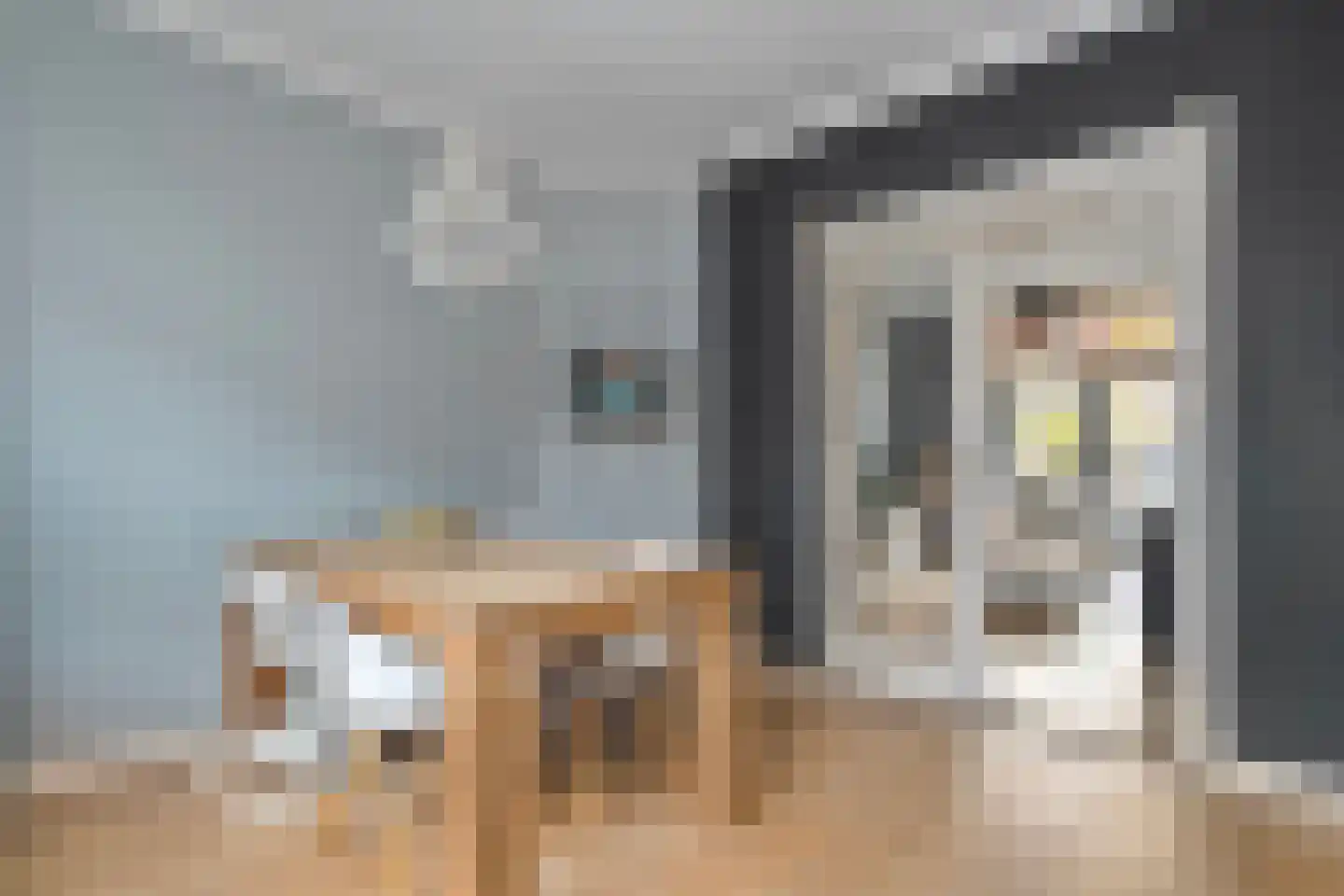 Rembrandtlaan 31 Zwolle thumbnail 15