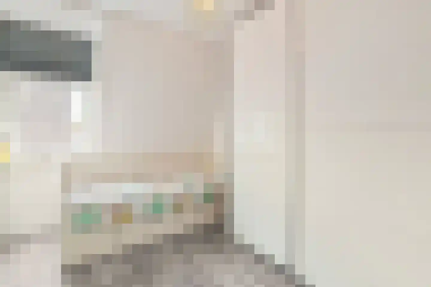 Rembrandtlaan 31 Zwolle thumbnail 20