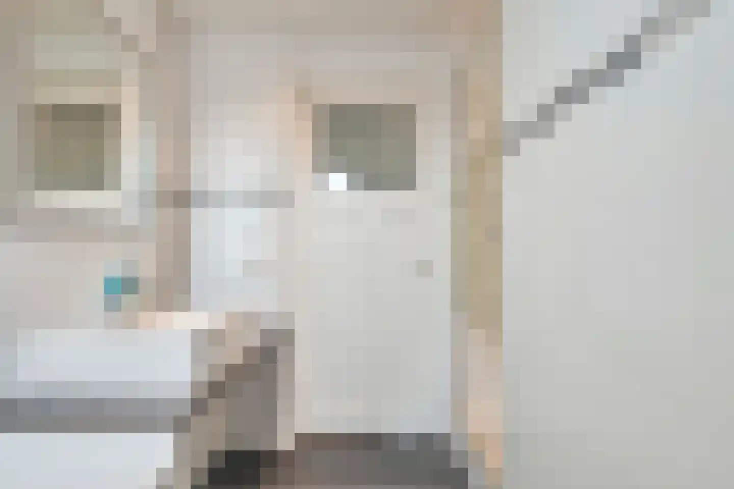 Rembrandtlaan 31 Zwolle thumbnail 22