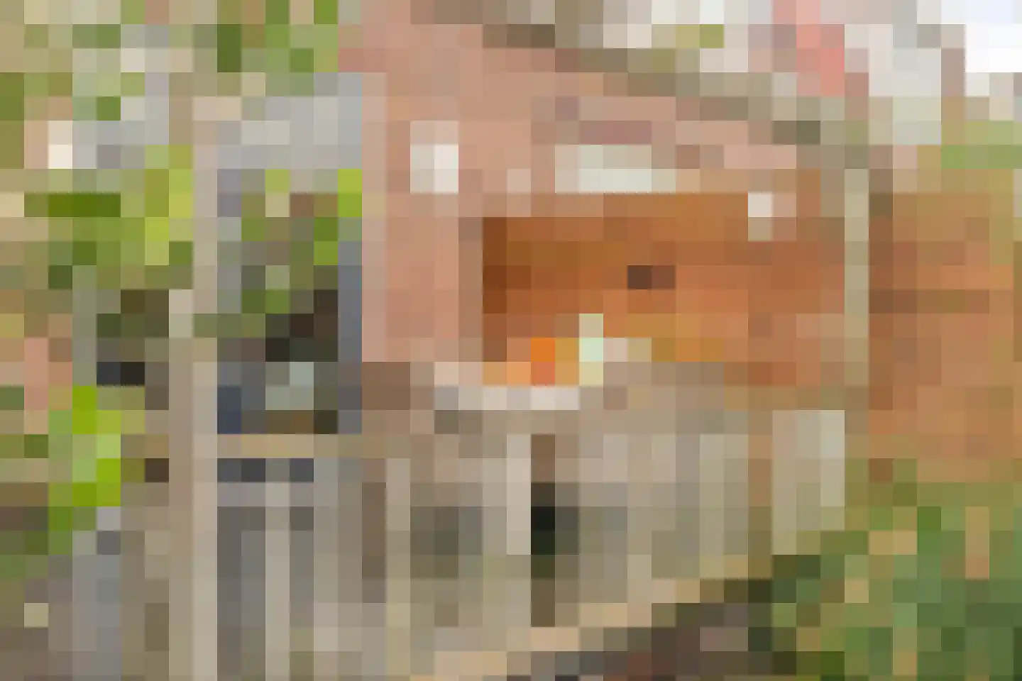 Rembrandtlaan 31 Zwolle thumbnail 26