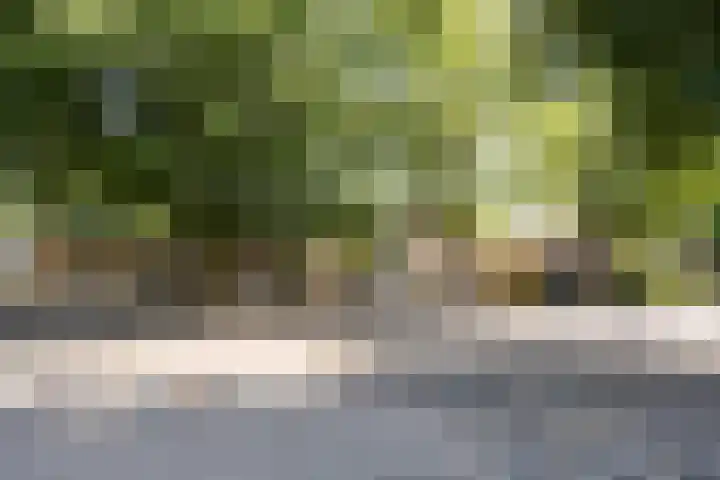 Rembrandtlaan 314 Enschede thumbnail 18
