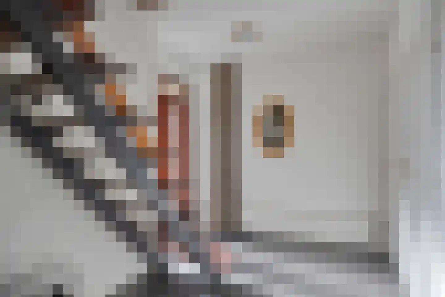 Rembrandtlaan 32 Best thumbnail 10