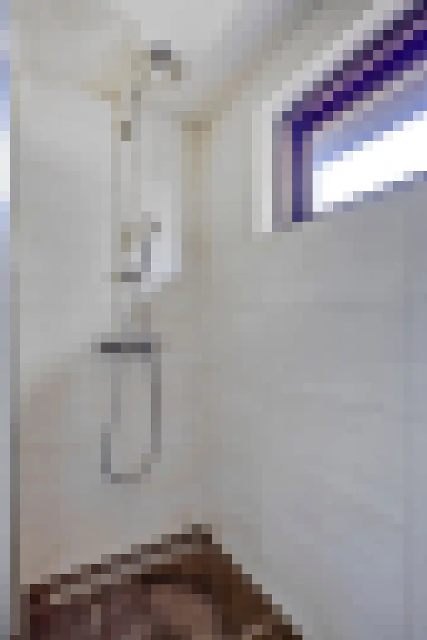 Rembrandtlaan 32 Best thumbnail 33