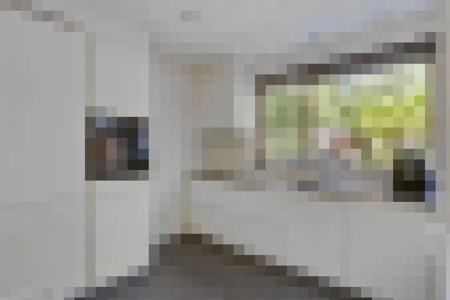 Rembrandtlaan 32 Best thumbnail 4