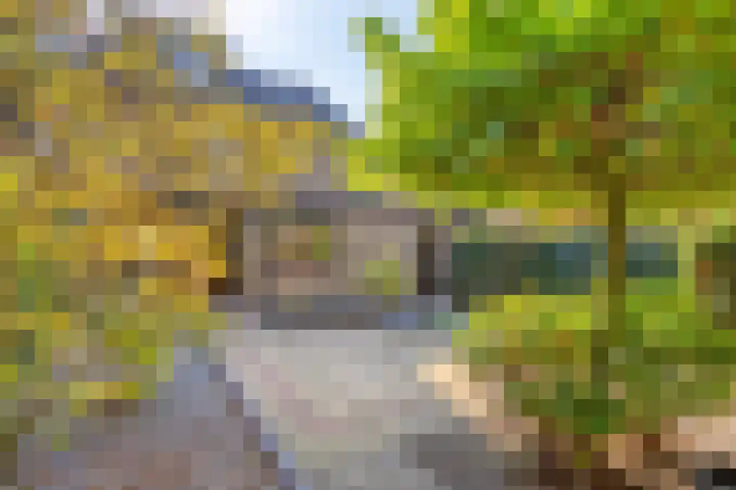 Rembrandtlaan 32 Best thumbnail 41