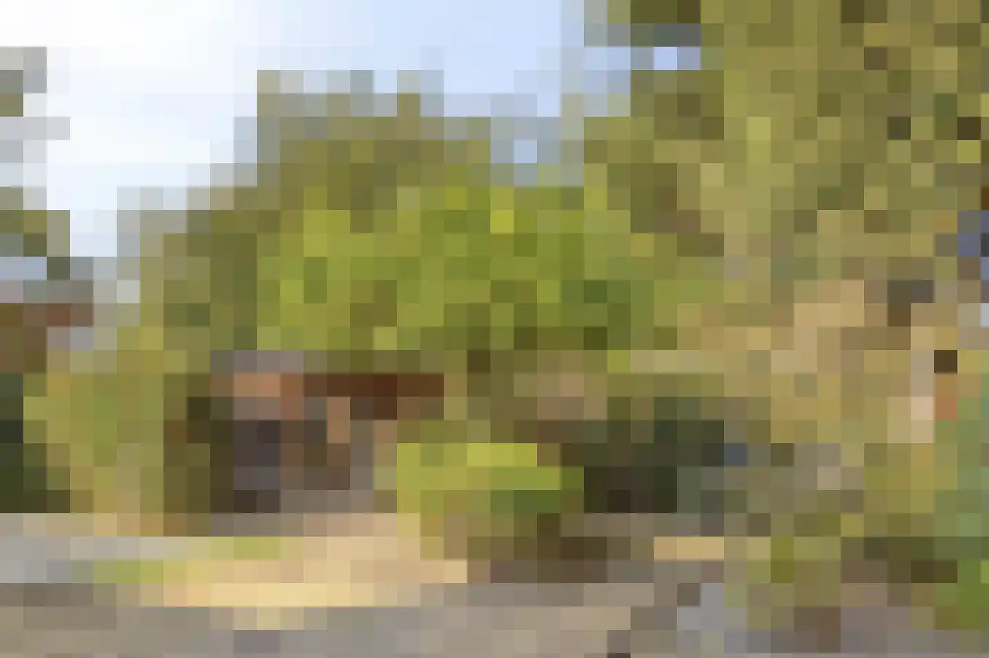 Rembrandtlaan 32 Best thumbnail 43