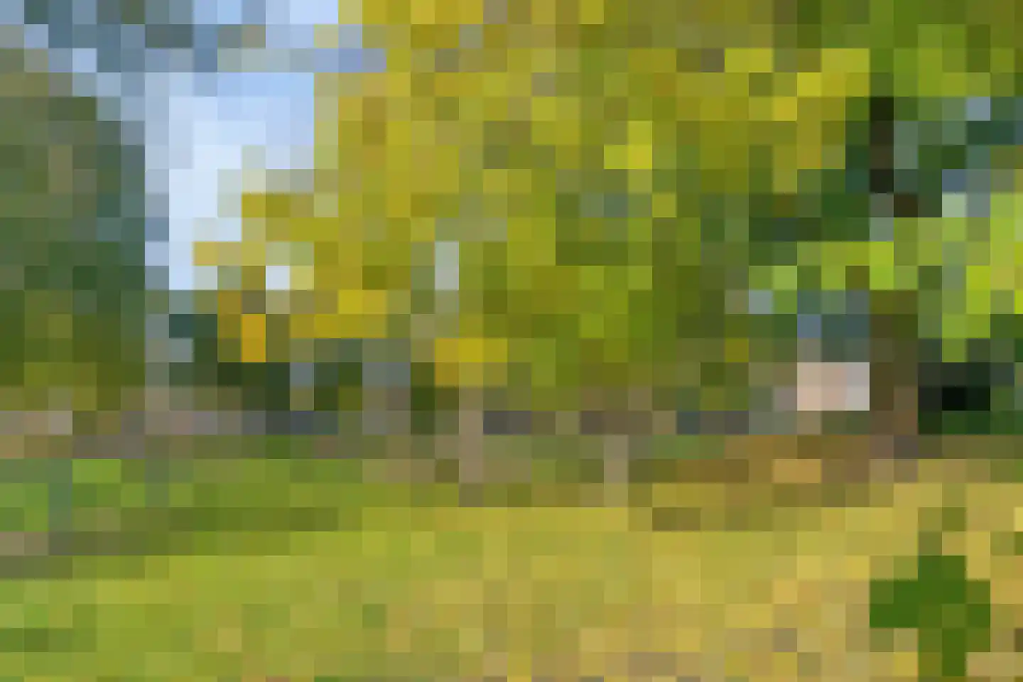 Rembrandtlaan 32 Best thumbnail 48