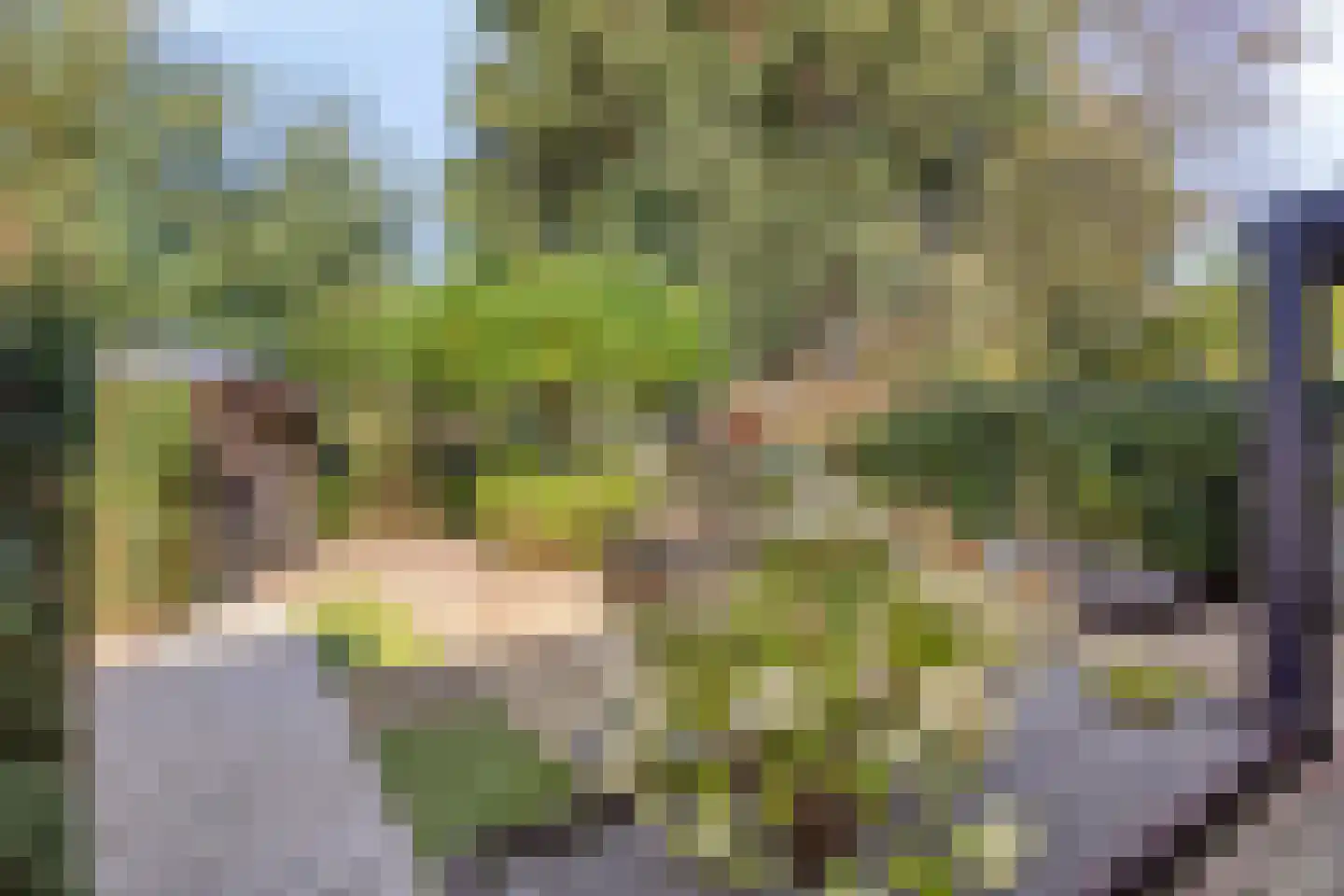 Rembrandtlaan 32 Best thumbnail 6