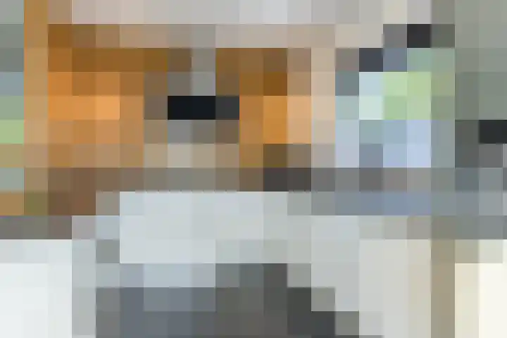 Rembrandtlaan 32 Rijen thumbnail 14