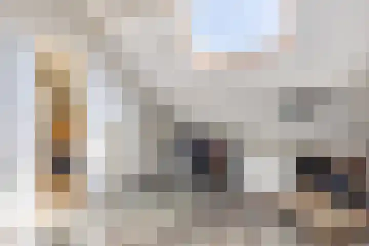 Rembrandtlaan 32 Rijen thumbnail 33