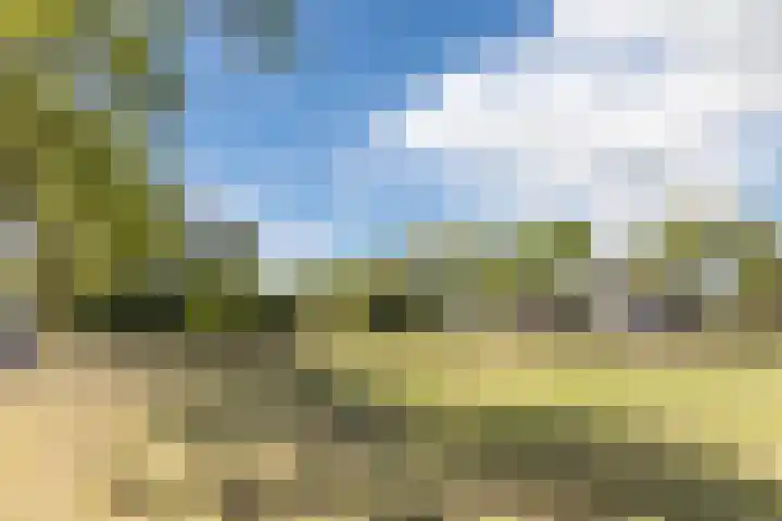 Rembrandtlaan 32 Rijen thumbnail 35
