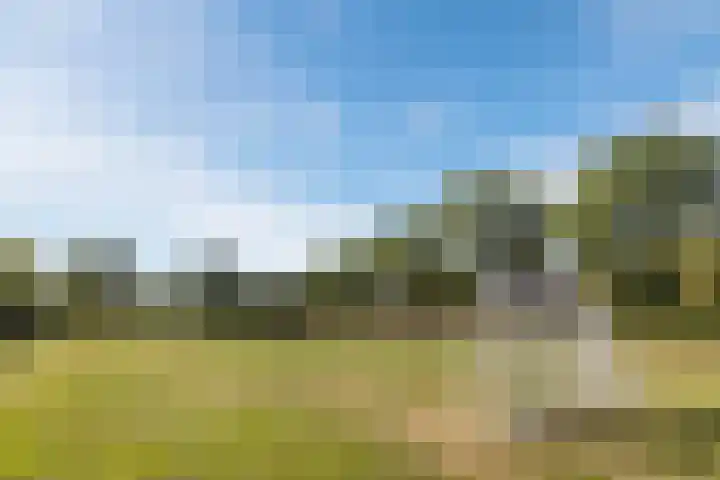 Rembrandtlaan 32 Rijen thumbnail 36