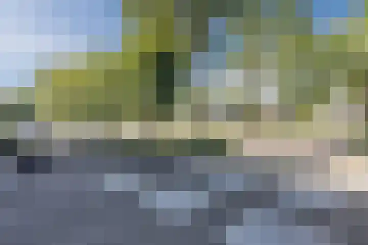 Rembrandtlaan 32 Rijen thumbnail 40