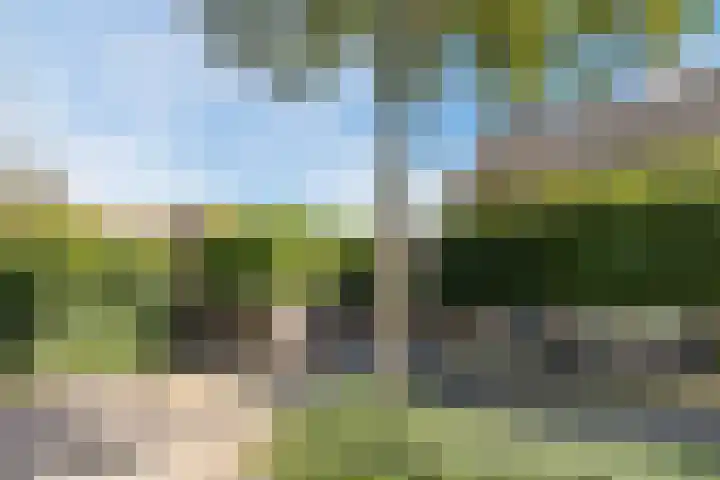 Rembrandtlaan 32 Rijen thumbnail 6