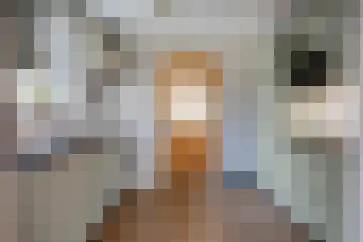 Rembrandtlaan 32 Veghel thumbnail 14