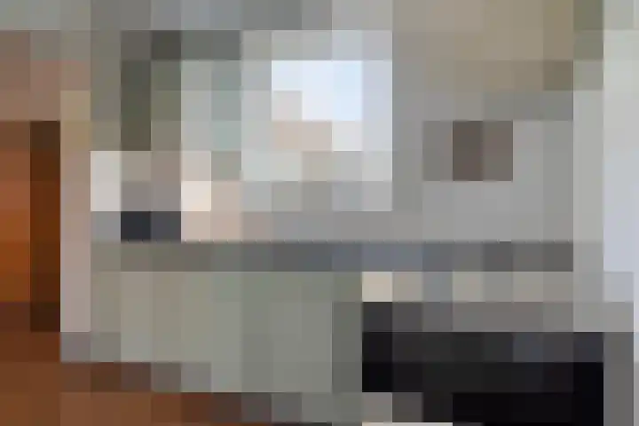 Rembrandtlaan 32 Veghel thumbnail 15