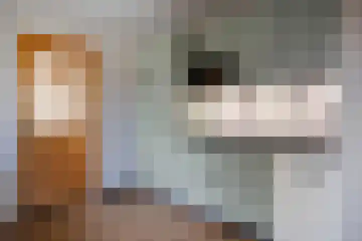 Rembrandtlaan 32 Veghel thumbnail 16