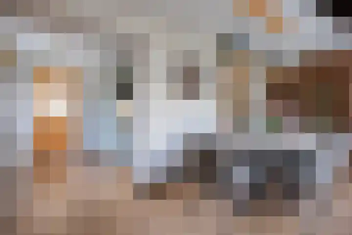 Rembrandtlaan 32 Veghel thumbnail 17