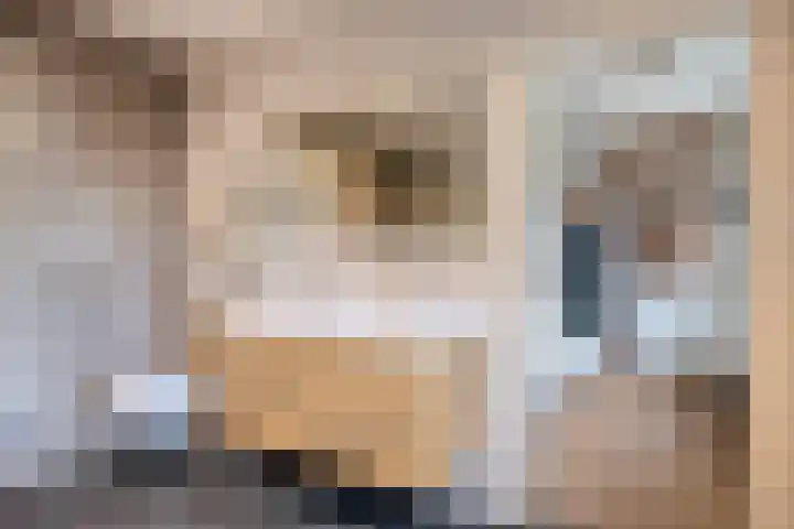Rembrandtlaan 32 Veghel thumbnail 19