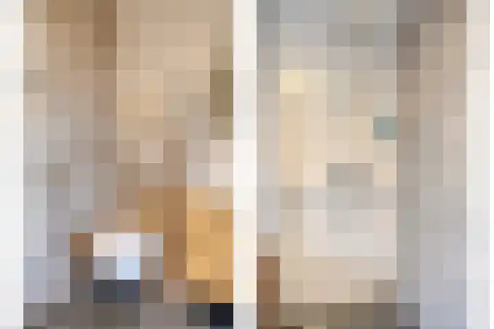 Rembrandtlaan 32 Veghel thumbnail 20
