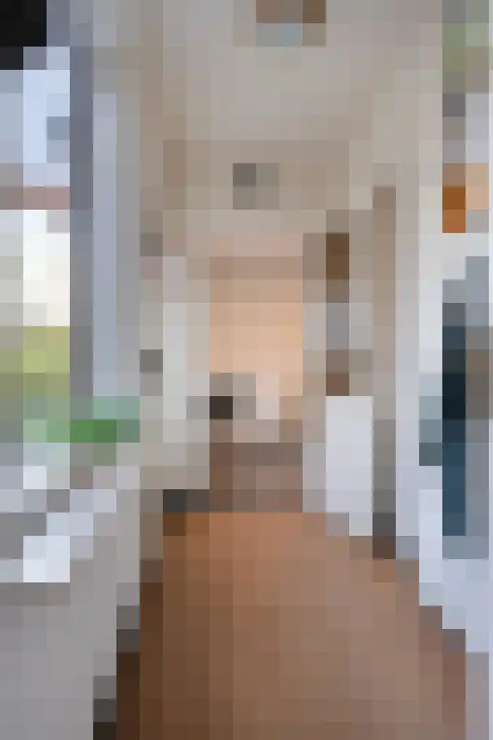 Rembrandtlaan 32 Veghel thumbnail 22