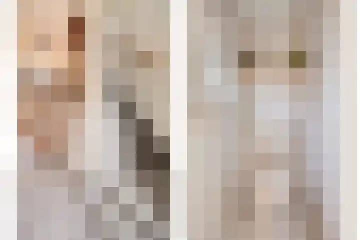 Rembrandtlaan 32 Veghel thumbnail 25