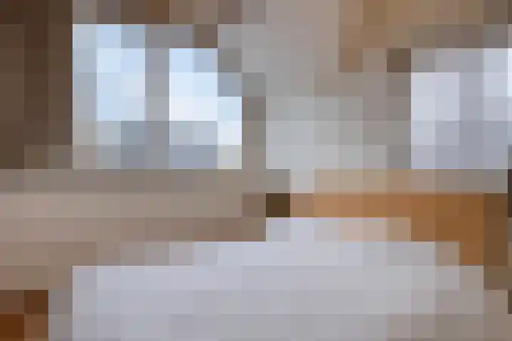 Rembrandtlaan 32 Veghel thumbnail 27