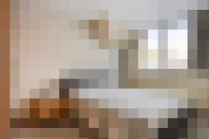 Rembrandtlaan 32 Veghel thumbnail 28