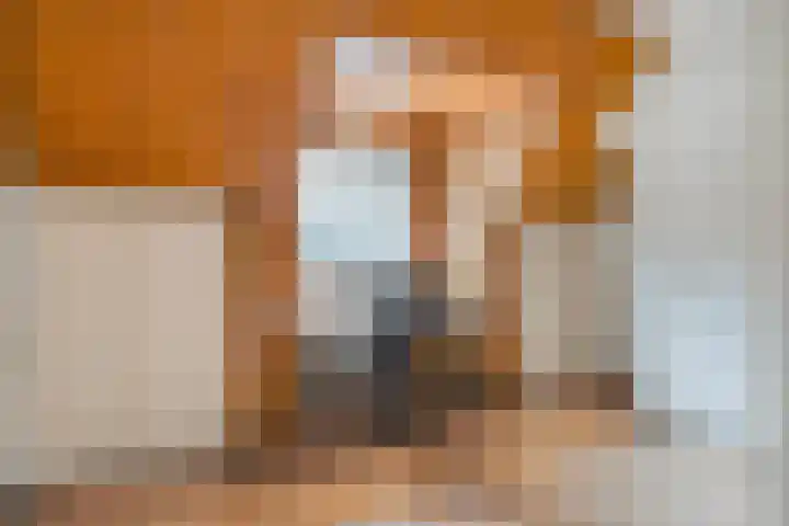 Rembrandtlaan 32 Veghel thumbnail 29