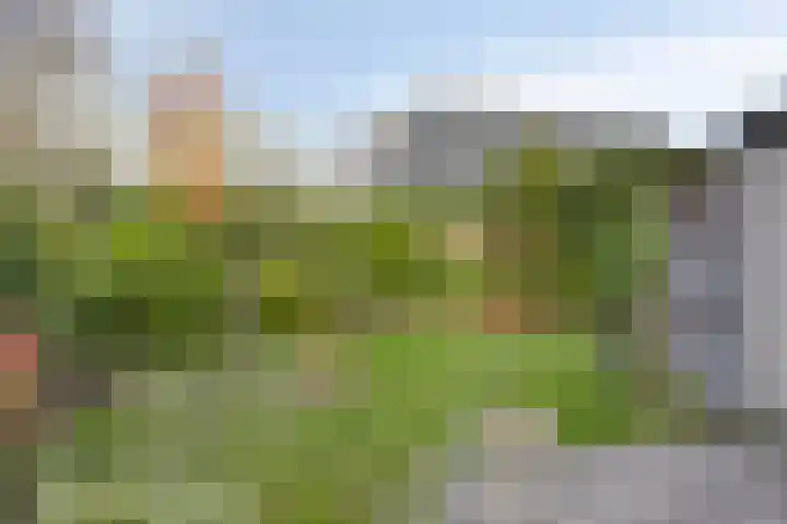 Rembrandtlaan 32 Veghel thumbnail 31