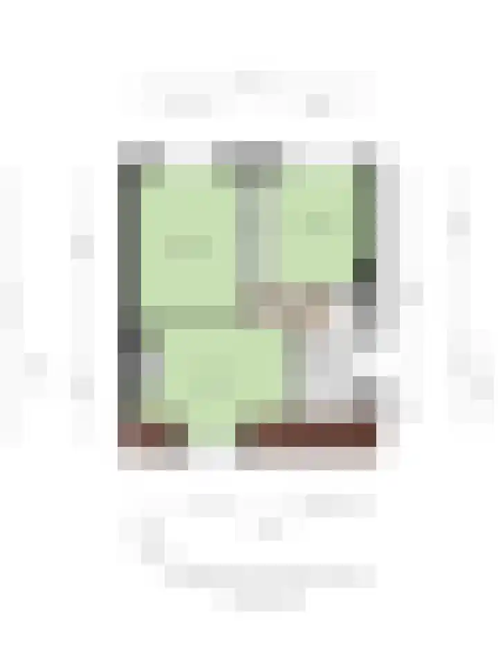 Rembrandtlaan 32 Veghel thumbnail 34