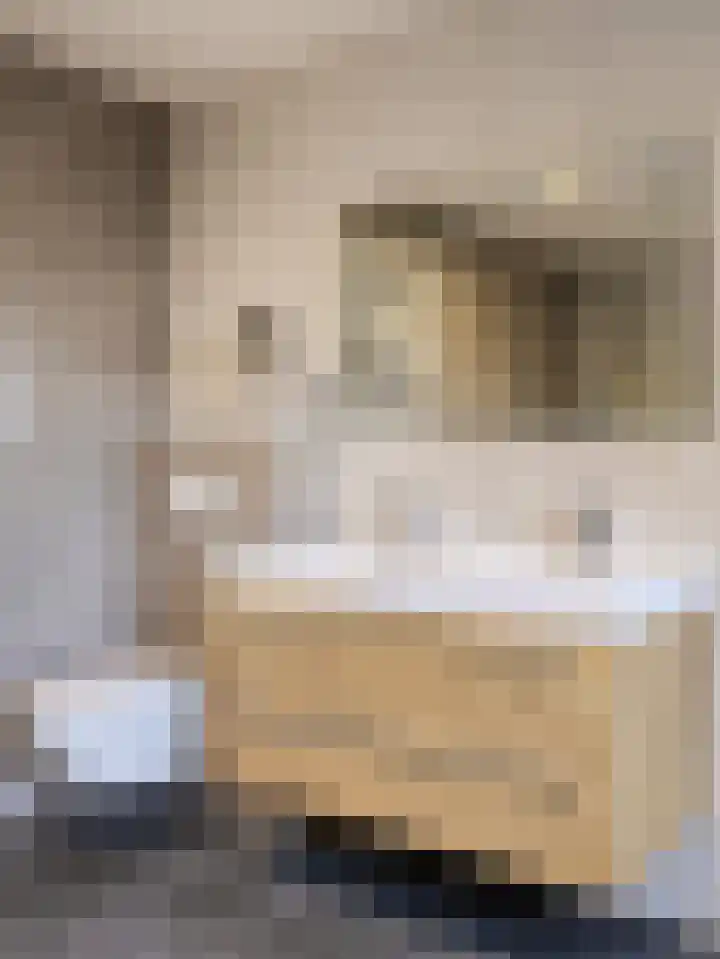 Rembrandtlaan 32 Veghel thumbnail 5