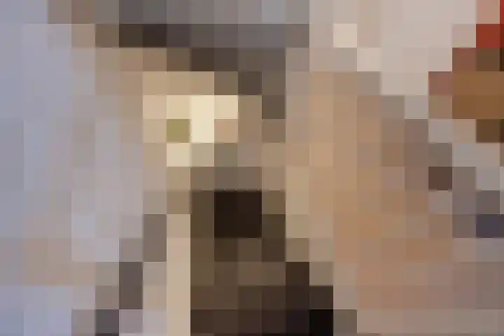 Rembrandtlaan 32 Voorburg thumbnail 19