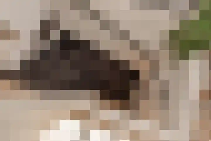 Rembrandtlaan 32 Voorburg thumbnail 28